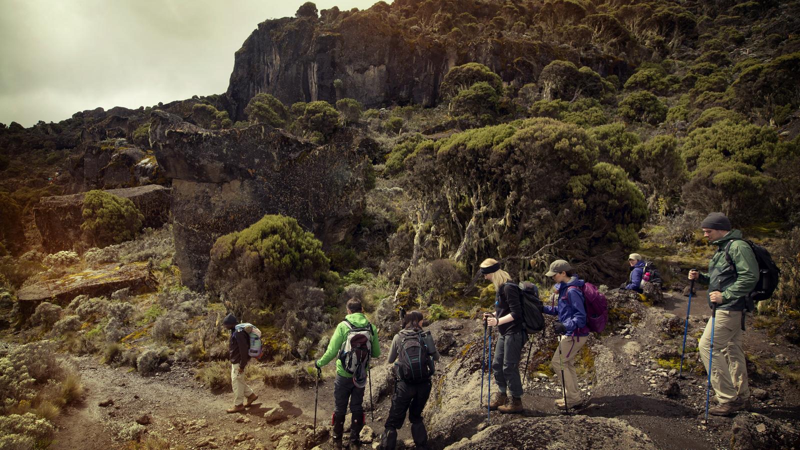 Kilimanjaro Ulusal Parkı: Şelaleler ve Kahve Turu